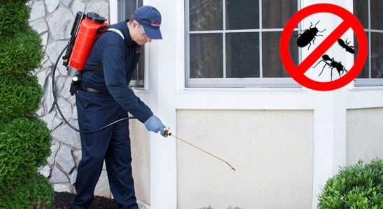 Ünye Böcek ve Haşere İlaçlama böcek ilaçlama ve haşere kontrolü — ilaclama-tr.com